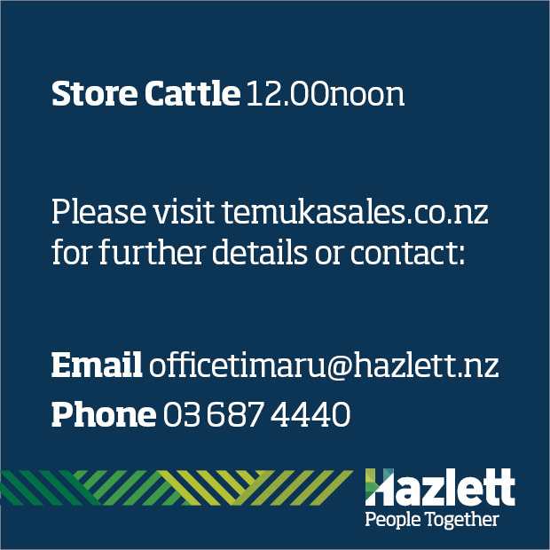 21 What's On Hazlett New zealand